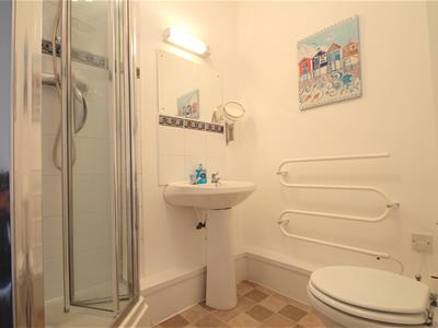 Picture 8